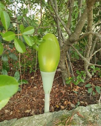 5 Lampade da giardino di design LUCE PLAM