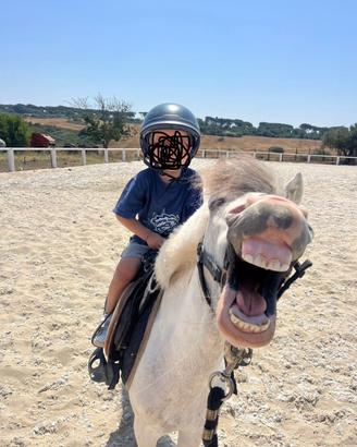 Pony
