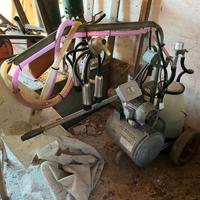 Mungitrice per bovini