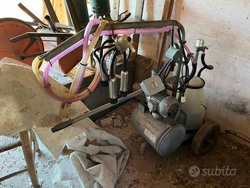 Mungitrice per bovini