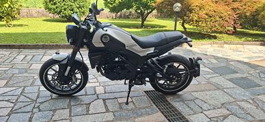 BENELLI LEONCINO 250