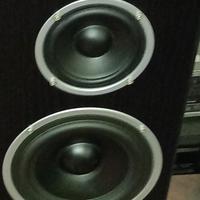 CASSE ACUSTICHE A 3 VIE, COME NUOVE.