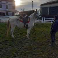 Femmina interessante