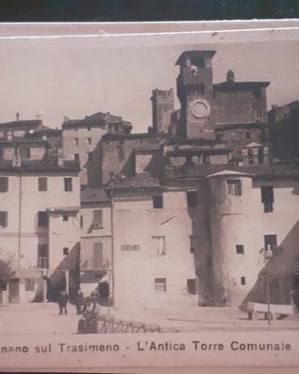 cartoline 