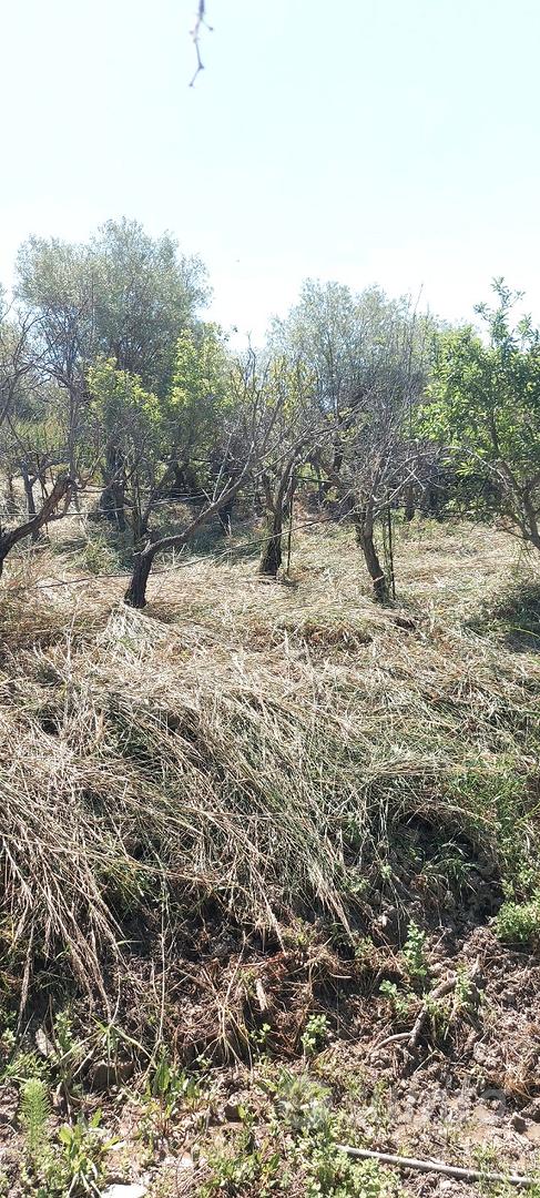 Terreno in Contrada Giardinaccio - Altro