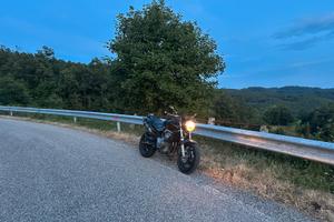 Hornet 600