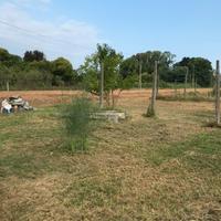 Terreno a lido di Camaiore pagam dilazionato