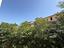 Immagine 19