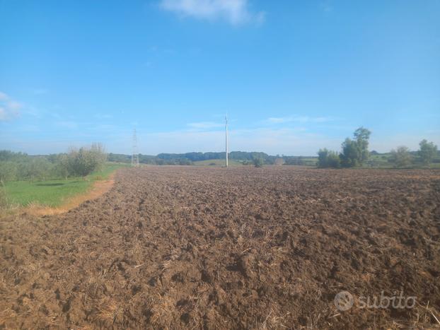 Terreno agricolo di 53000 mq