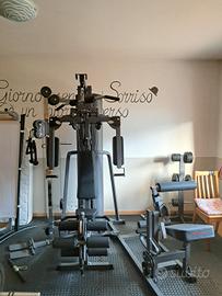 palestra multifunzionale 