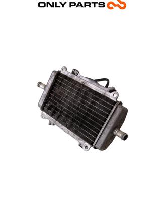 Radiatore Acqua + Ventola Piaggio Vespa GT 2003