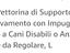 Immagine 6