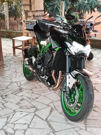 Kawasaki Z 900 - 2024