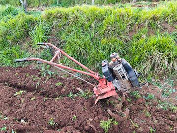 Motozappa zappatrice Brumi 8cv diesel Lombardini