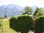 Immagine 15