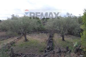 Terreno - San Pietro Clarenza