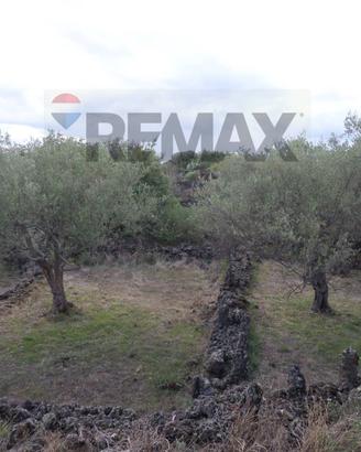 Terreno - San Pietro Clarenza