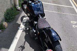 Harley davidson nigth train