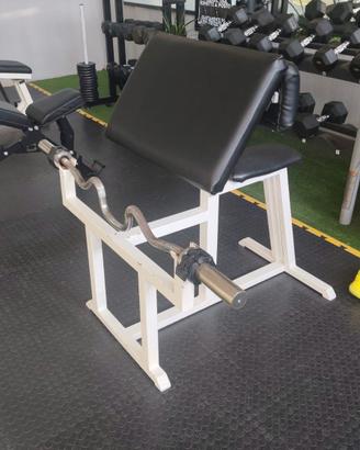 palestra completa