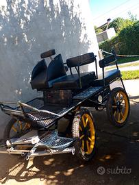 Carrozza Maratona Pony
