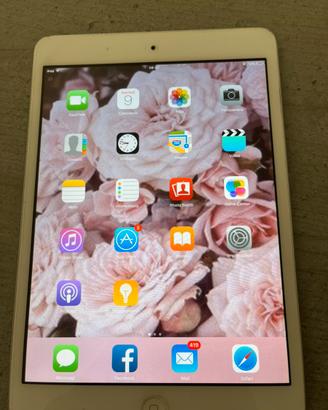 Ipad mini1 16gb wi-fi