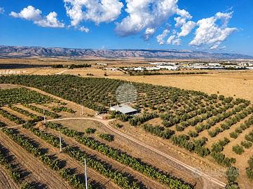 TER. AGRICOLO A MANFREDONIA