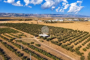 TER. AGRICOLO A MANFREDONIA