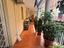 Immagine 17