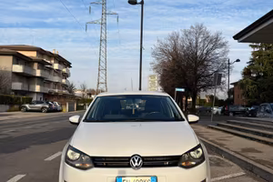 Polo bianca