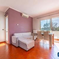 Appartamento - Olbia