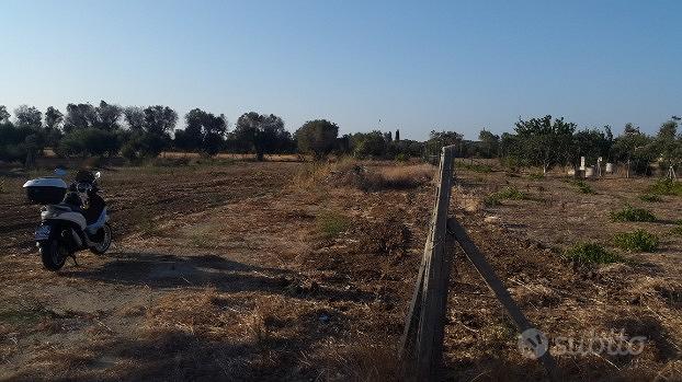 Terreno agricolo edificabile - Vista 2