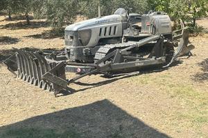 Lamborghini triumph 100