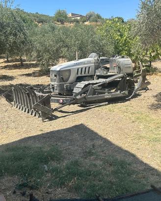 Lamborghini triumph 100