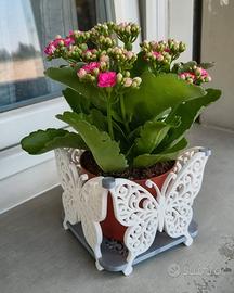 Porta Vaso A Farfalla