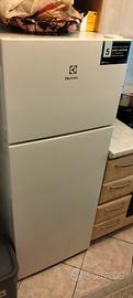 frigo