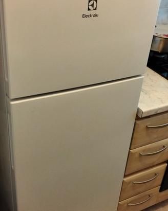 frigo