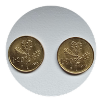 Due monete 20 lire