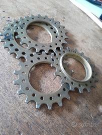 4 pignoni Regina oro bici corsa