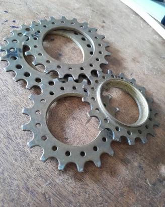 4 pignoni Regina oro bici corsa