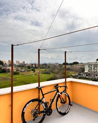 Colnago v4rs uae  emirates