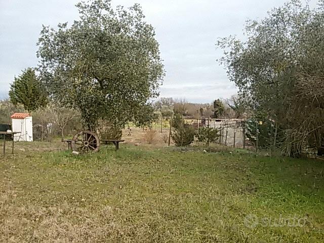 Terreno agricolo - Vista 4