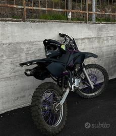 Beta rr50
