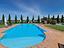 Immagine 7