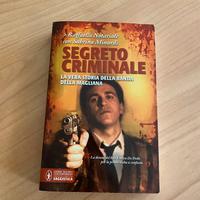 Romanzo " Segreto criminale"