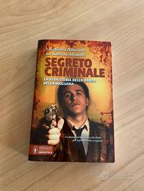 Romanzo " Segreto criminale"