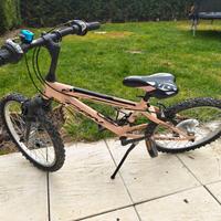 Bicicletta 20" bambino