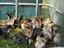 Immagine 6