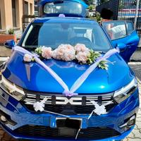 Dacia sandero streetway