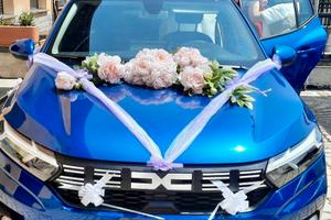 Dacia sandero streetway