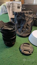 Panasonic Leica DG 12-60mm f/2.8-4.0 ASPH OIS

Pan